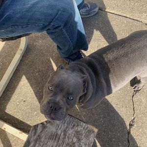 Meet your Posher, Roberto